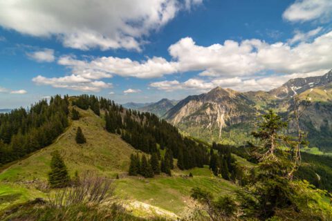 Blick vom Heidelbeerkopf