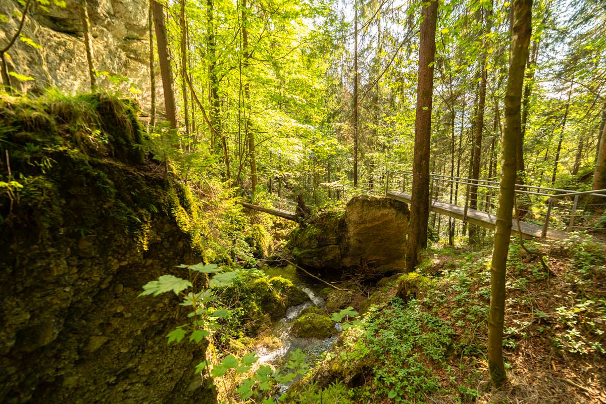 Durch den Tobel am Hinanger Wasserfall verlaufen mehrere Brücken und Treppen