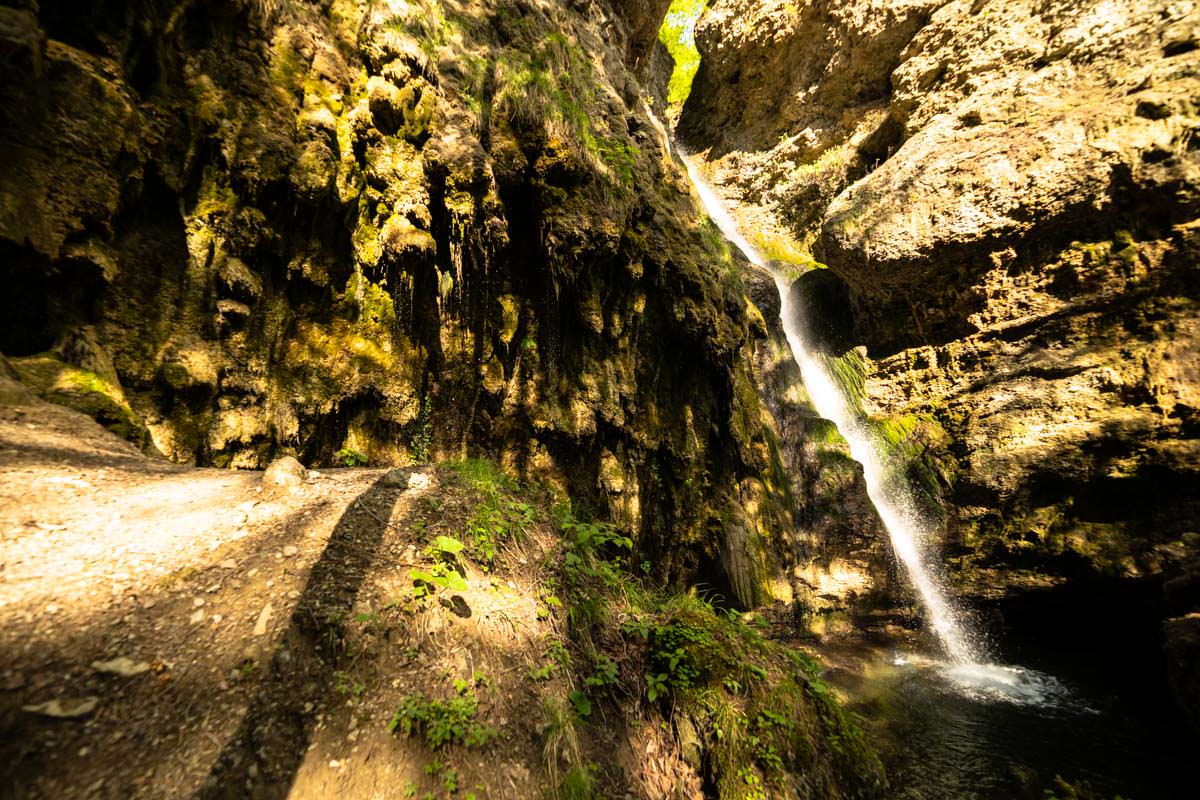 Nachmittags scheint die Sonne von hinten in den Tobel und lässt den Hinanger Wasserfall leuchten