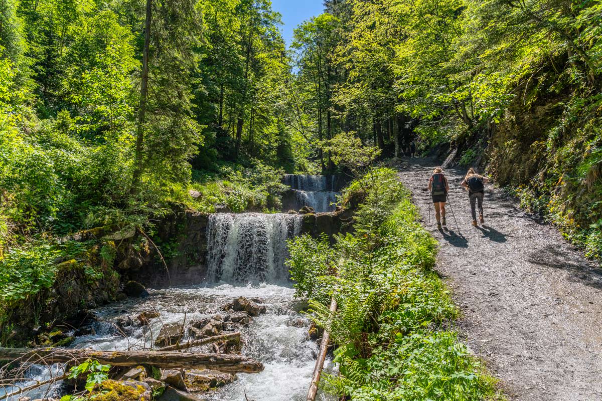 Wandern im Reichenbachtobel